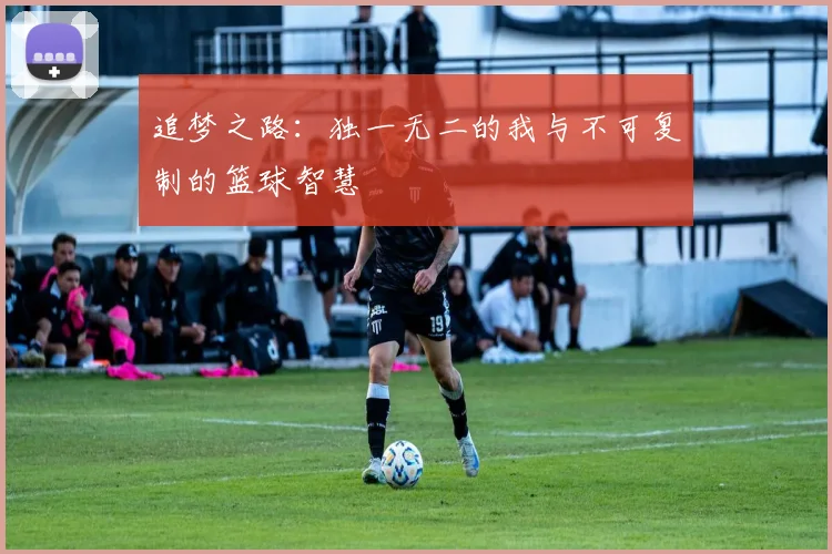 追梦之路：独一无二的我与不可复制的篮球智慧