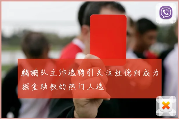 鹈鹕队主帅选聘引关注杜德利成为掘金助教的热门人选