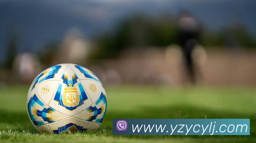 星空体育(中国)官网APP 封面图